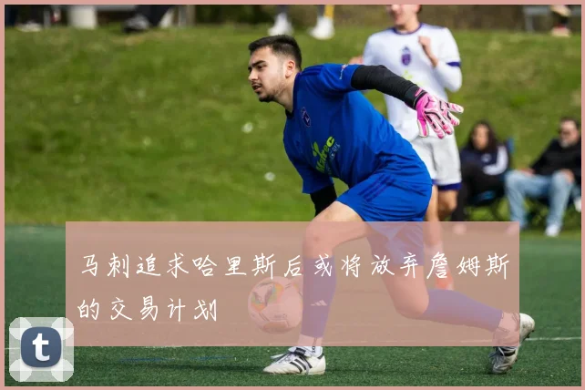马刺追求哈里斯后或将放弃詹姆斯的交易计划
