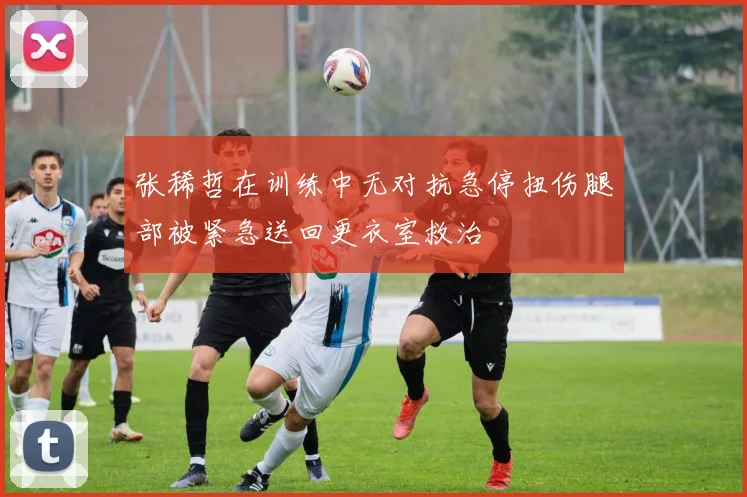 张稀哲在训练中无对抗急停扭伤腿部被紧急送回更衣室救治